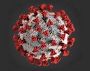 Home 3 - Coronavirus