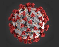 Home 3 - Coronavirus