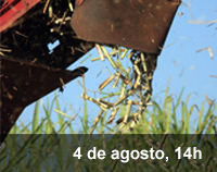 Home 3 - Programa eixos temáticos USP - Biocombustíveis