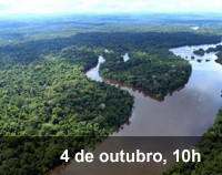 Home 3 - Uma escola de negócios para a floresta tropical