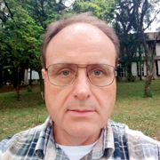 Régis Pasini - Perfil