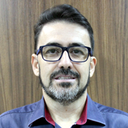 Sérgio Gini - Perfil