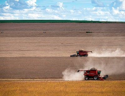 Agricultura - Brasil