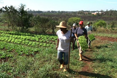 Agroecologia
