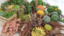 Alimentos vegetais