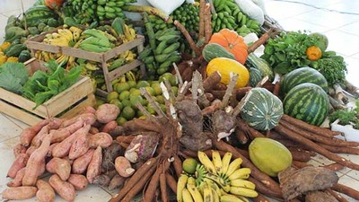 Alimentos vegetais