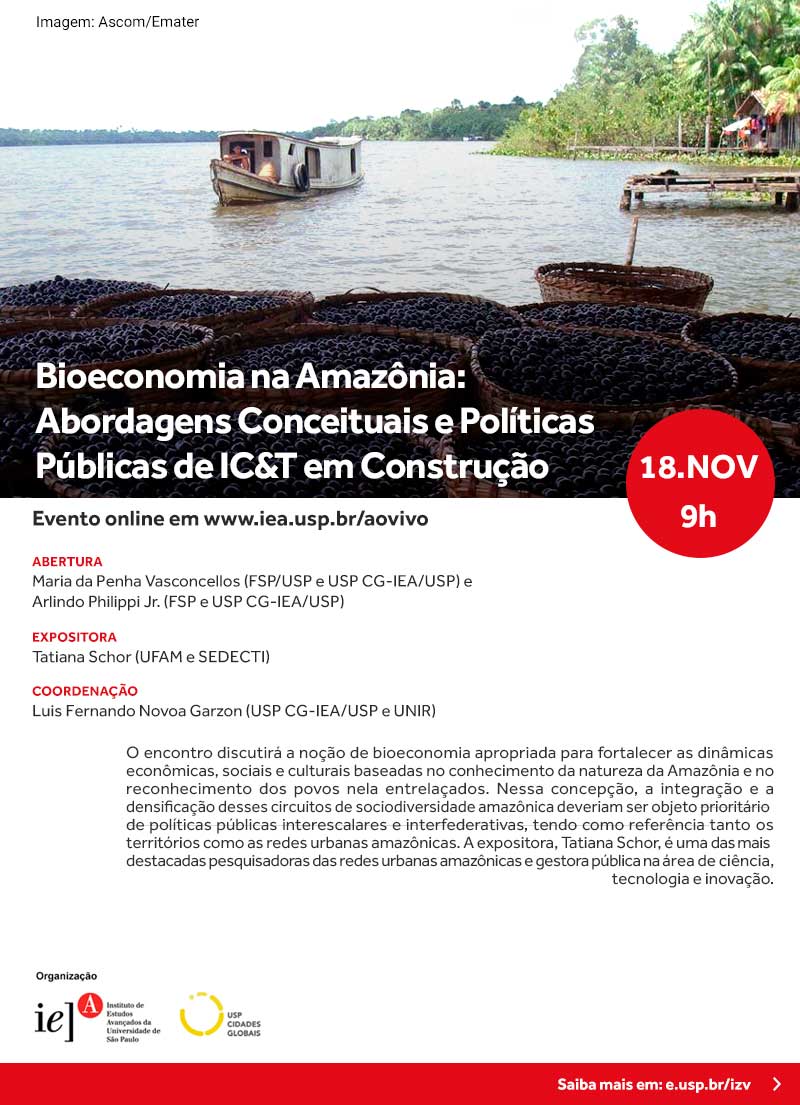 Bioeconomia na Amazônia: Abordagens Conceituais e Políticas Públicas de IC&T em Construção