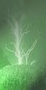 bioenergia.jpg