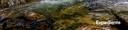 Biota5