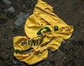 Camiseta da seleção brasileira - 2