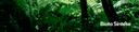 Capa Biota 