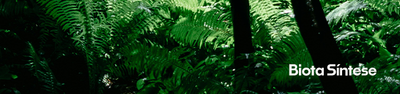Capa Biota 