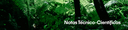 Capa Série Biota Síntese