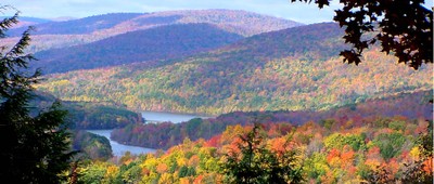 Catskill -10