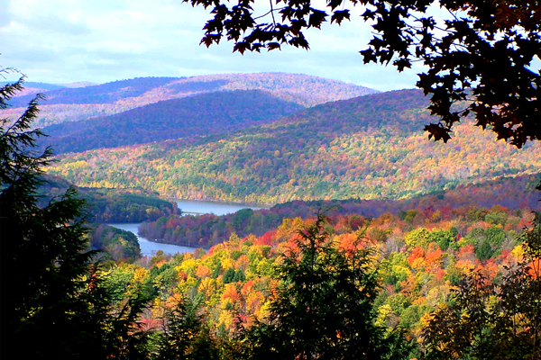 Catskill - 8 
