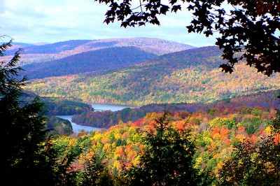 Catskill - 8 