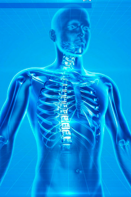 Corpo humano
