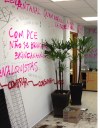 Depredação na USP e no IEA  - 16