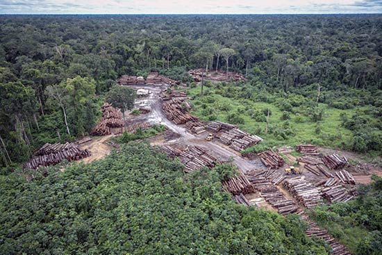 Desmatamento na Amazônia