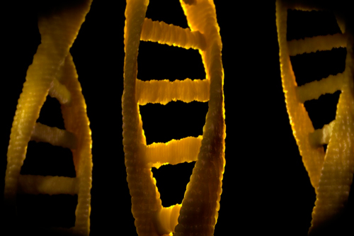 DNA