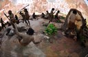 Evolução humana