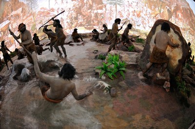 Evolução humana