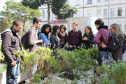 FMUSP Horticultura Boletim