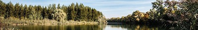 Fotos de natureza - boletim teste