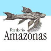 Foz do Amazonas