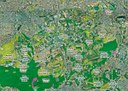 Geoprocessamento - Biomas - São Paulo, SP