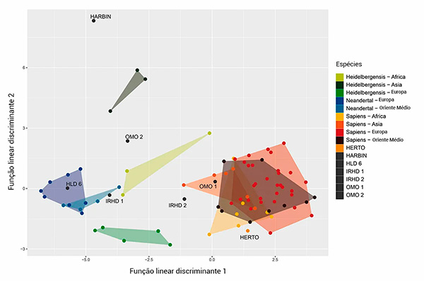 Gráfico de espécies humanas