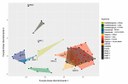 Gráfico de espécies humanas