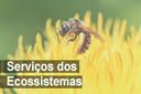 Grupo de Pesquisa Serviços dos Ecossistemas Grupo de Pesquisa Serviços dos Ecossistemas