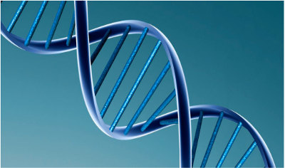 Hélice de DNA