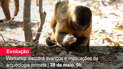 Home 1 - Arqueologia primata