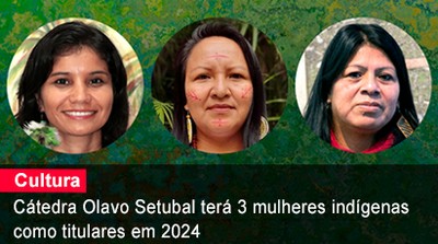 Home 1 - Catedráticas 2024