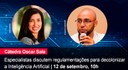 Home 1 - Decolonizar a IA
