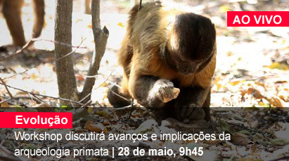 Home 1 - Arqueologia primata - AO VIVO