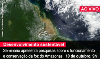 Home 1 - Foz do Amazonas - AO VIVO