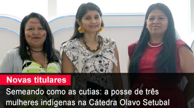 Home 1 - Novas Catedráticas 2024