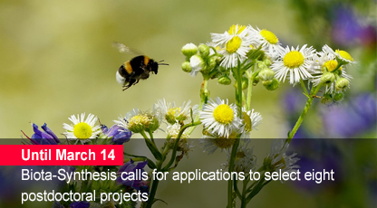 Home 1 - Open call Biota