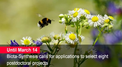 Home 1 - Open call Biota
