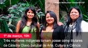 Home 1 - Posse trinca indígena