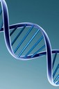 Home DNA