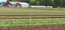 Home 2 - Agricultura sustentável