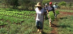 Home 2 - Agroecologia