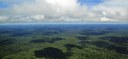 Home 2 - Amazônia