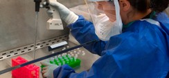 home 2 - biotecnologia 