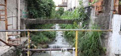 Home 2 - BrCidades