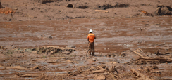 Home 2 - Brumadinho